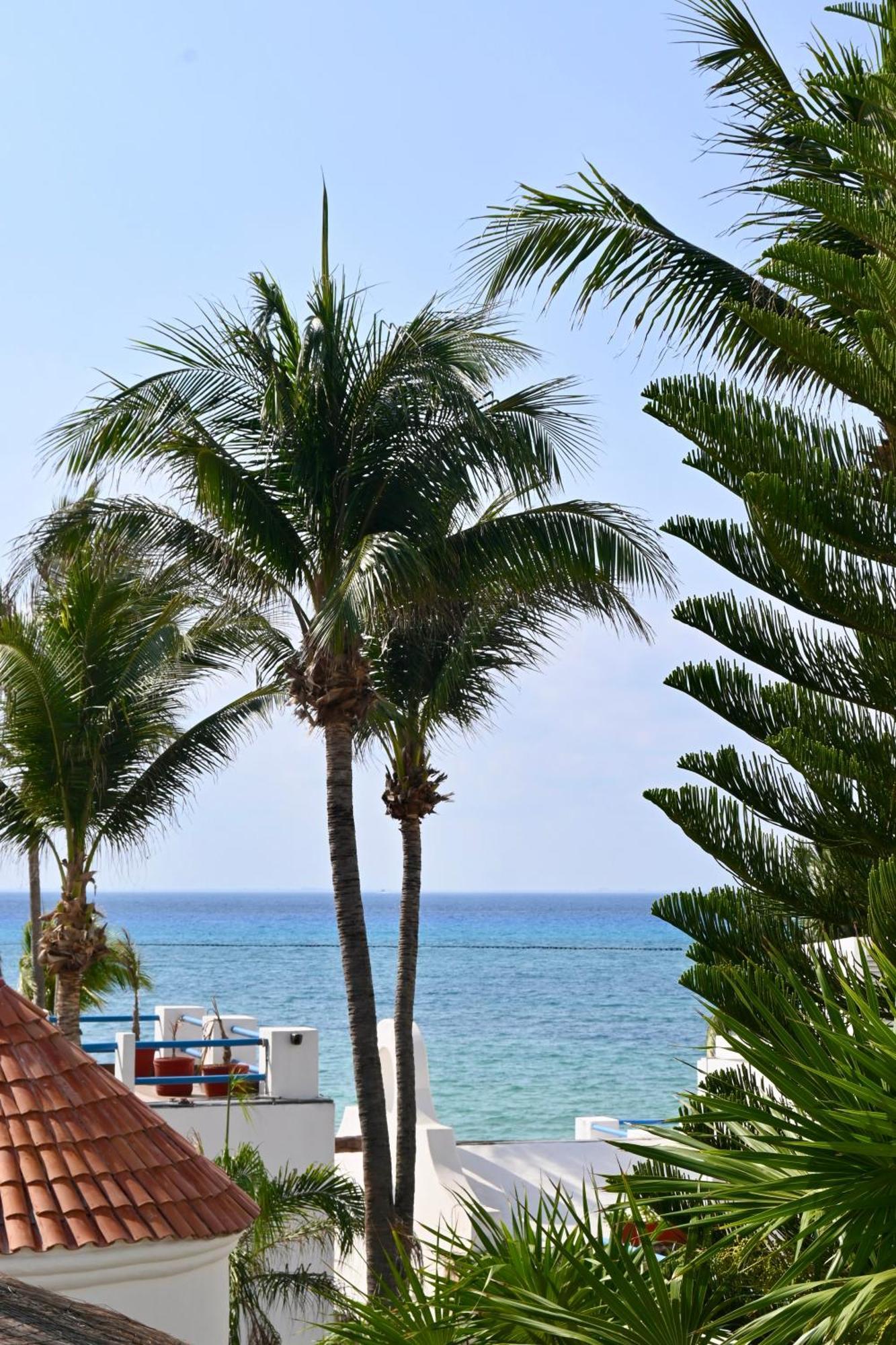 Pelicano Inn Playa Del Carmen - Beachfront Hotel Luaran gambar